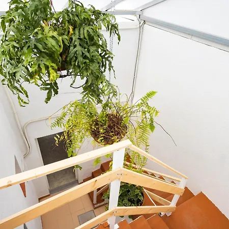 Holiday home Ek Eucaliptos 2 Fasnia