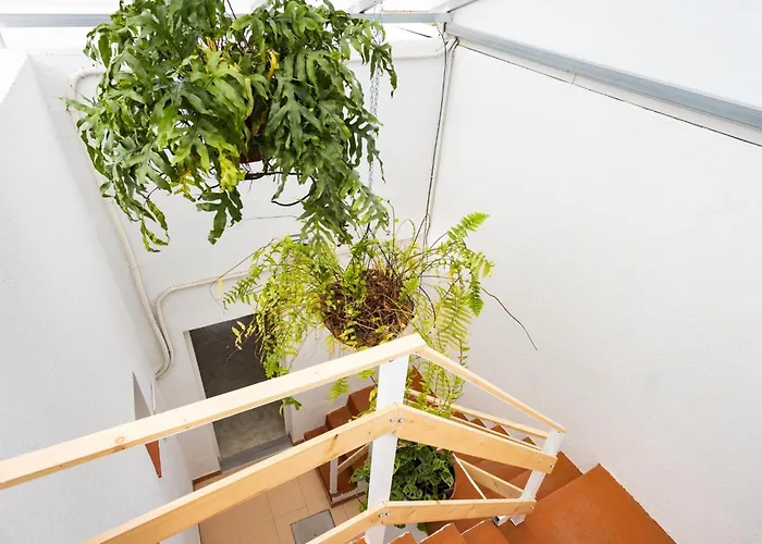 بيت للعطل Ek Eucaliptos 2 Fasnia