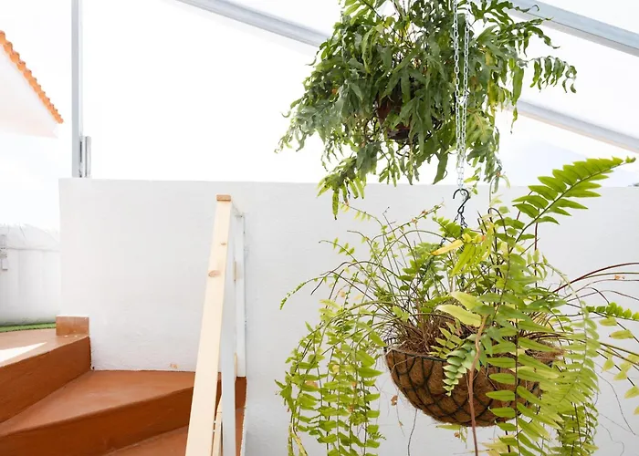 Ek Eucaliptos 2 Дом отдыха *