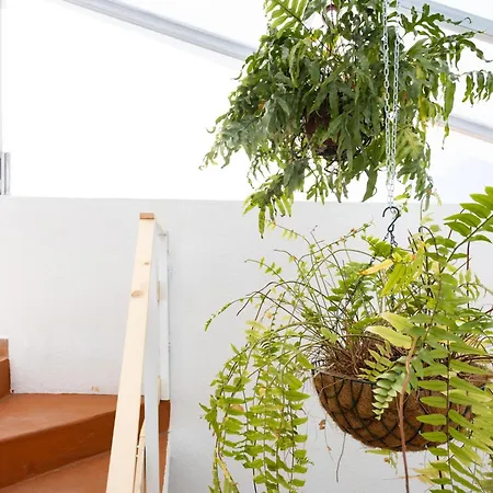 Ek Eucaliptos 2 Semesterbostad *